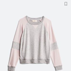 Pinque Chloe Brushed Knit Top